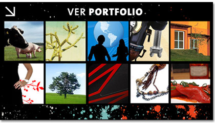 portfolio